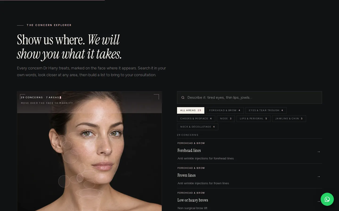 The concern explorer on the Dr Harry Clinic homepage: every concern marked on the face